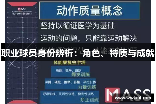 职业球员身份辨析：角色、特质与成就