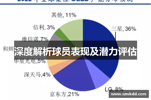 深度解析球员表现及潜力评估