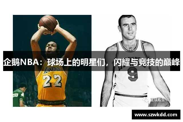 企鹅NBA：球场上的明星们，闪耀与竞技的巅峰