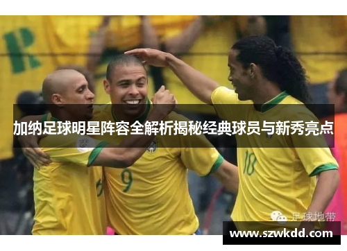 加纳足球明星阵容全解析揭秘经典球员与新秀亮点