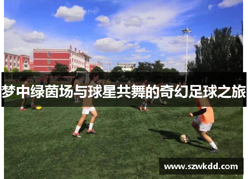 梦中绿茵场与球星共舞的奇幻足球之旅