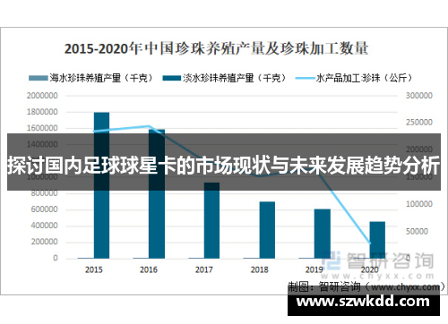 探讨国内足球球星卡的市场现状与未来发展趋势分析