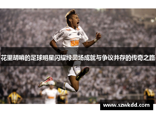 花里胡哨的足球明星闪耀绿茵场成就与争议并存的传奇之路