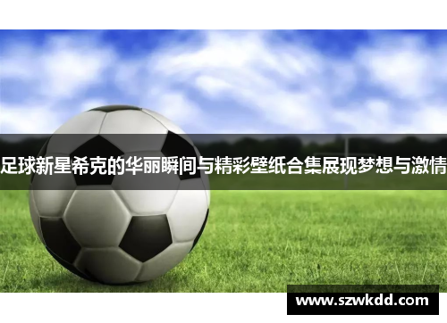 足球新星希克的华丽瞬间与精彩壁纸合集展现梦想与激情