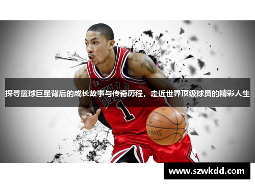 探寻篮球巨星背后的成长故事与传奇历程，走近世界顶级球员的精彩人生