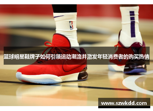 篮球明星鞋牌子如何引领运动潮流并激发年轻消费者的购买热情