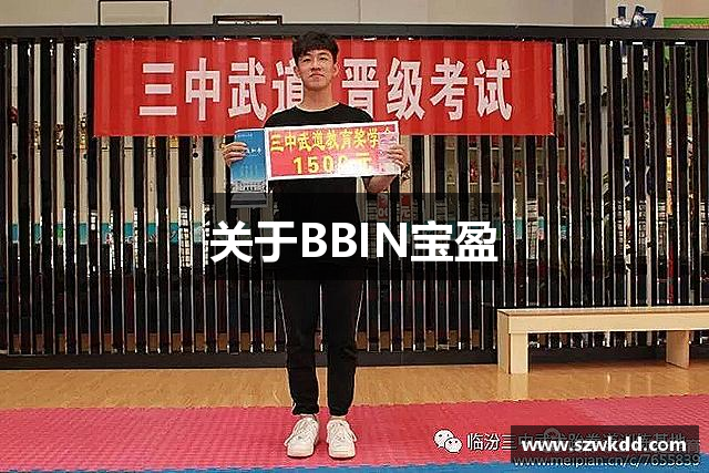 关于BBIN宝盈